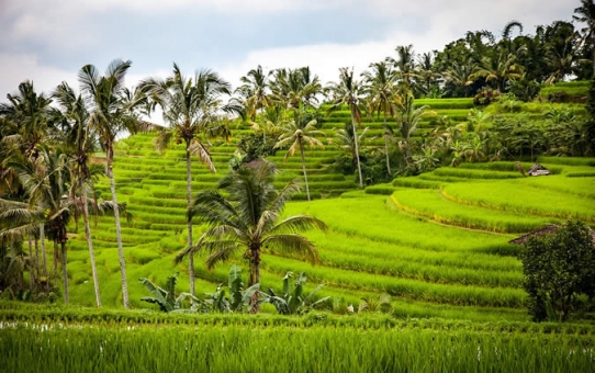 Bali, une destination par excellence pour la photographie